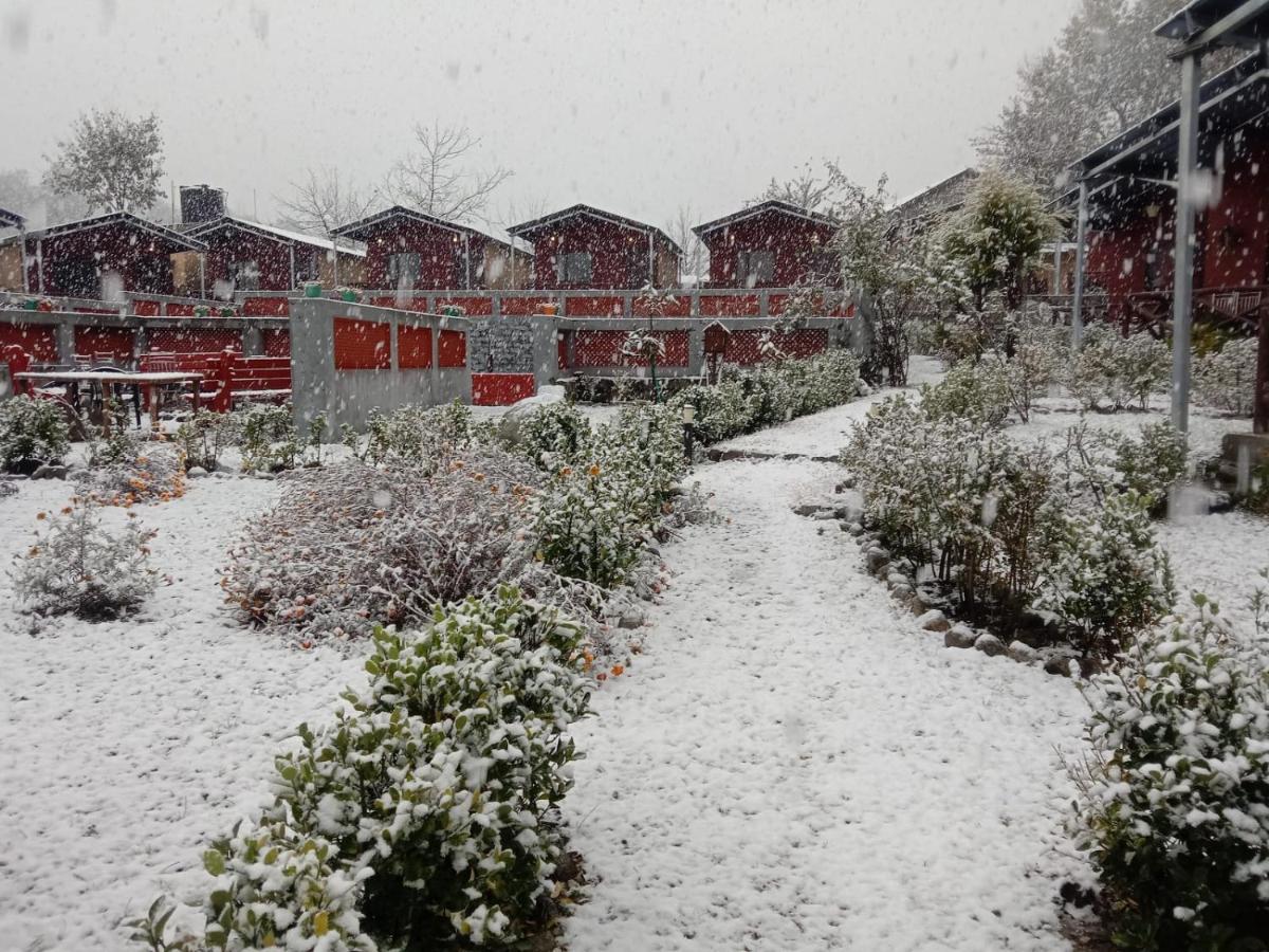 Flora Hills View Hotel Manali  Bagian luar foto